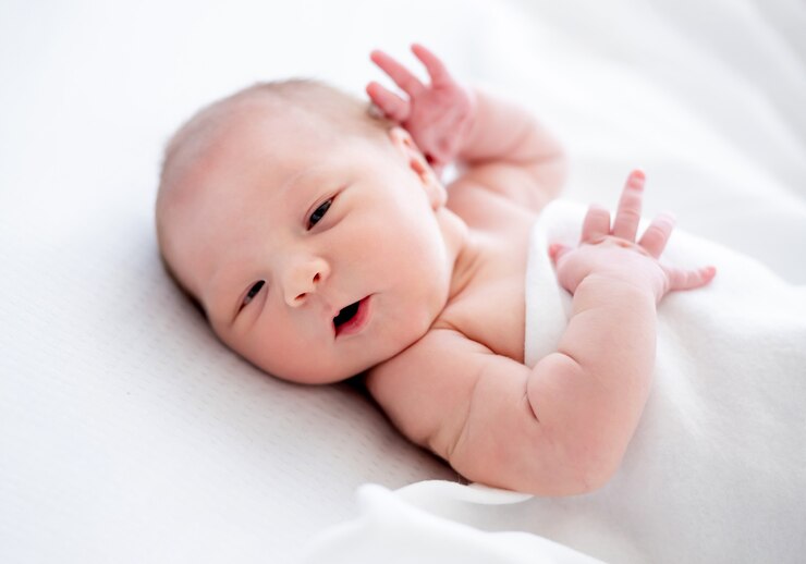 alt= ari-ari bayi
