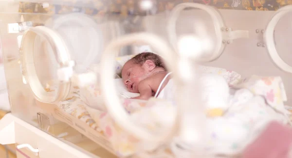 alt= menyusui bayi prematur