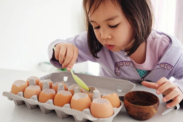 alt= pendidikan montessori