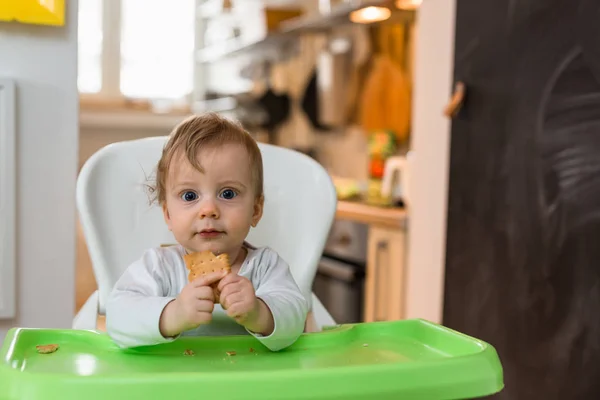 alt= bayi makan biskuit
