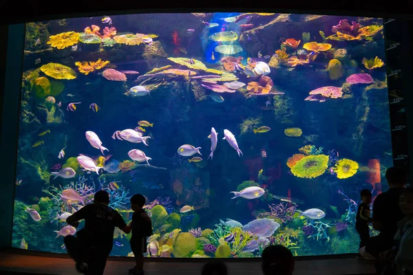 alt= tempat liburan bayi, baby-friendly,